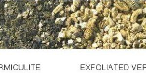 Vermiculite