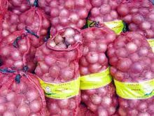 Indian Red Onion