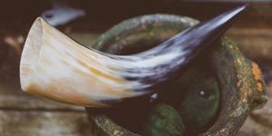 Drinking Horns