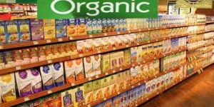 All Kind of Organic/Non-Organic Grocery Items
