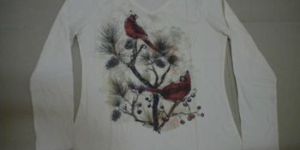 Ladies long sleeve v-neck