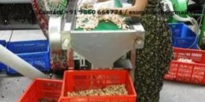 Vietnam Cashew Processing Machinery