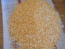Yellow Maize Grit