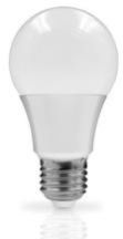 7W LED Bulb