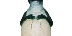 Attractive Dino Shape Dustbin