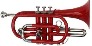 HARD CASE AND MOUTHPIECE