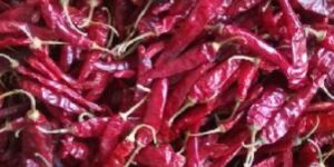 Dried Red Chilli