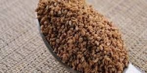 Fresh Carom Seeds