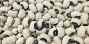 Black Eye Beans
