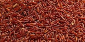 Red Rice