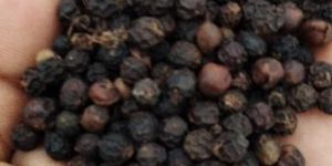 Whole Black Pepper