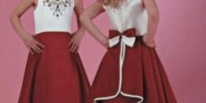 Tafeta Embroidery Gown