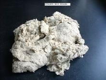 Cotton Linters 2nd Cut