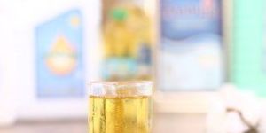 Cotton Seed Refined Oil