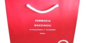 Printed Paper Carry Bag