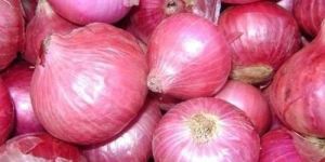 Pink Onion
