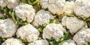 Cauliflower