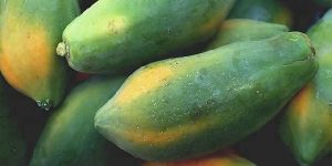 Papaya