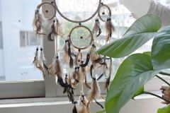 Dream Catcher