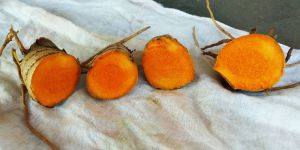 Organic Turmeric Powder