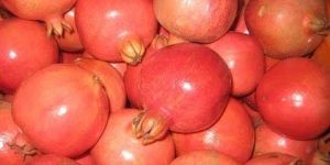 Pomegranate