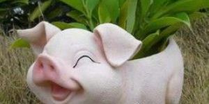 Smiling Pig Flower Pot