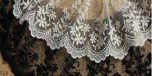 Embroidered Net Lace
