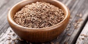 Dried Cumin Seeds