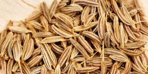 Raw Cumin Seeds
