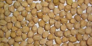 Chickpeas