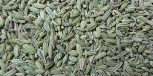Fennel Seed