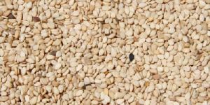 Natural White Sesame Seed