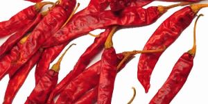 Red Chillie
