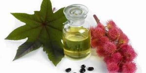 Refined Castor Oil (PPG)