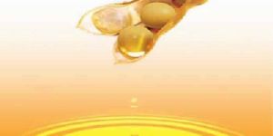 Soya Bean Oil