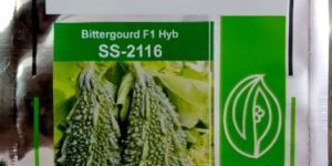 Hybrid Bitter Gourd Seeds