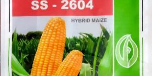 Hybrid Maize Seeds