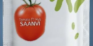 Hybrid Vegetable Seeds