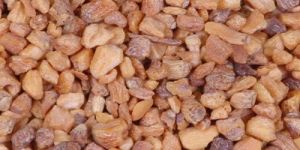 Dehydrated Garlic Chopped
