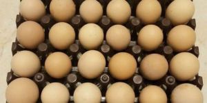 Desi Eggs