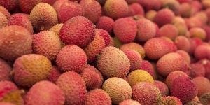 Fresh Natural Lychee