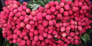 Fresh Red Lychee