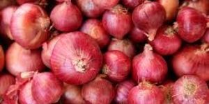 Fresh Red Onion