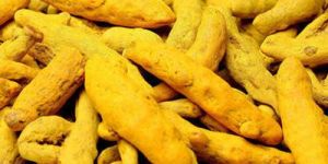 Organic Turmeric Finger