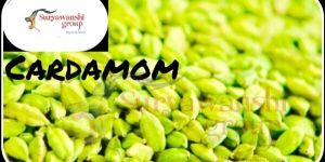 Cardamom