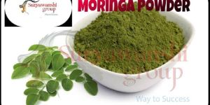 Moringa Powder