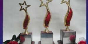 Star Shaped Sports Trophy