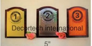 Wooden Multicolor Memento