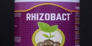 Rhizobact - Rhizobium