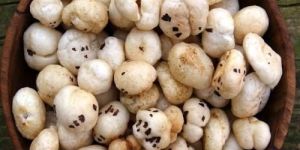 Fresh Tasty Makhana